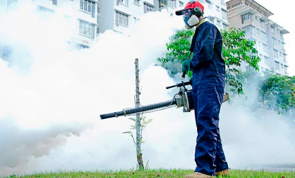 Dedetização com Fumigação no Guarujá