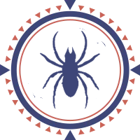 Dedetização de Aranha