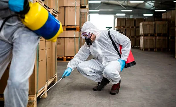 Quanto custa uma dedetização em Cubatão? - Combate Ambiental