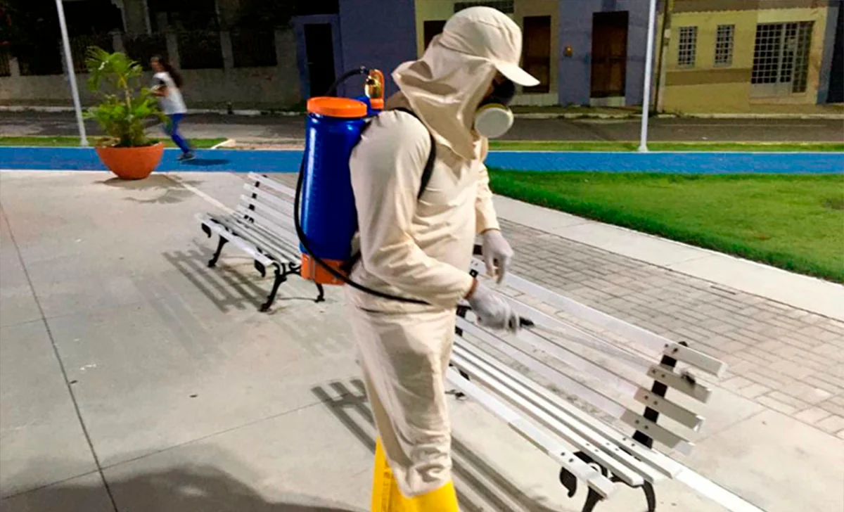 Como Funciona o Serviço de Dedetização para Escolas? - Combate Ambiental