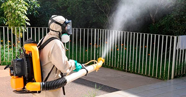 Quanto Custa a Dedetização de Mosquito no Guarujá? - Combate Ambiental