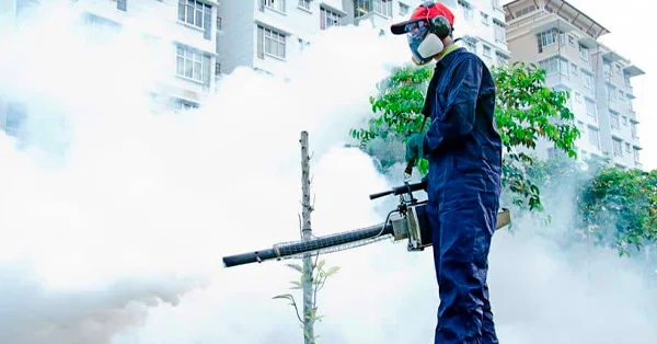 Como Funciona a Dedetização de Mosquitos? - Combate Ambiental